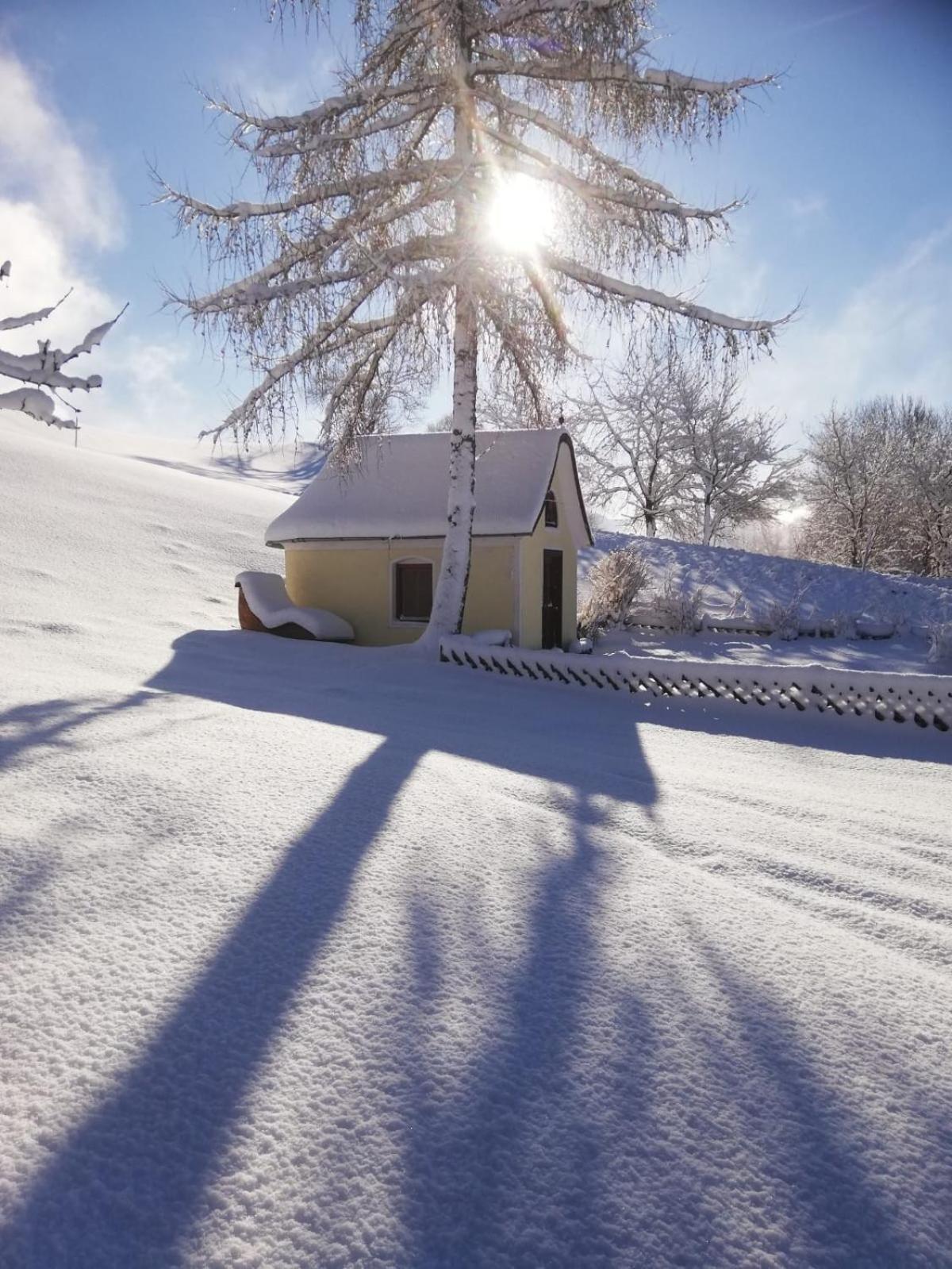 Alpenchalets Oberlaiming Itter Zewnętrze zdjęcie